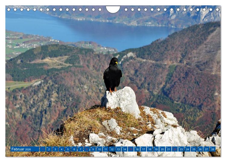 Produktbild: Der Berg und sein See (Wandkalender 2026 DIN A4 quer), CALVENDO Monatskalender