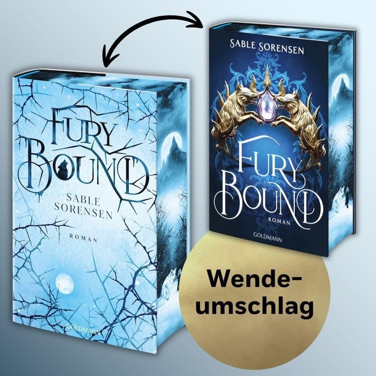 Produktbild: Fury Bound