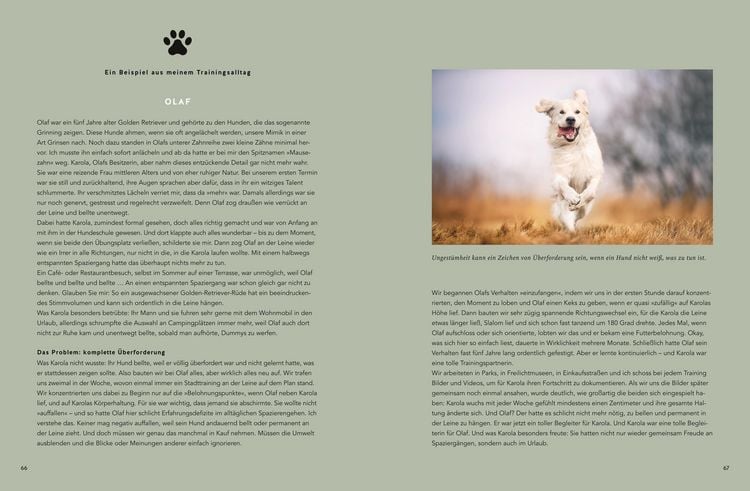 Produktbild: Mein Herz schlägt Hund