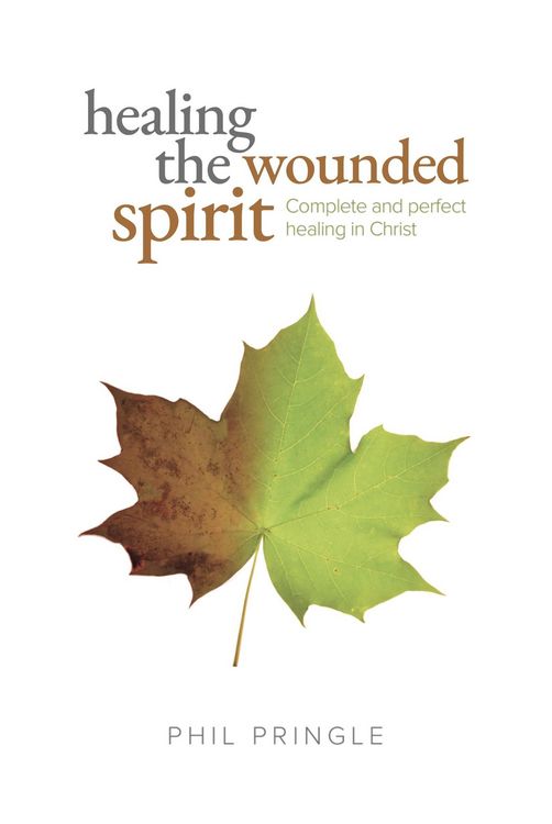 Produktbild: Healing The Wounded Spirit