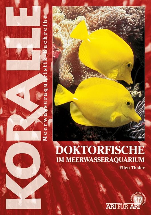 Produktbild: Doktorfische im Meerwasseraquarium