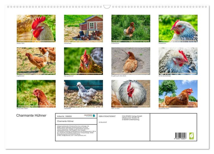 Produktbild: Charmante H&uuml;hner (Wandkalender 2026 DIN A2 quer), CALVENDO Monatskalender