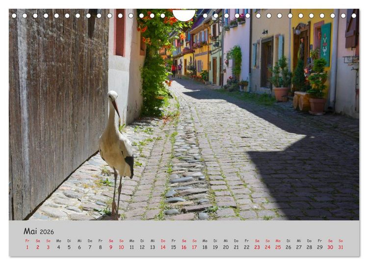 Produktbild: Region Elsass und Vogesen (Wandkalender 2026 DIN A4 quer), CALVENDO Monatskalender