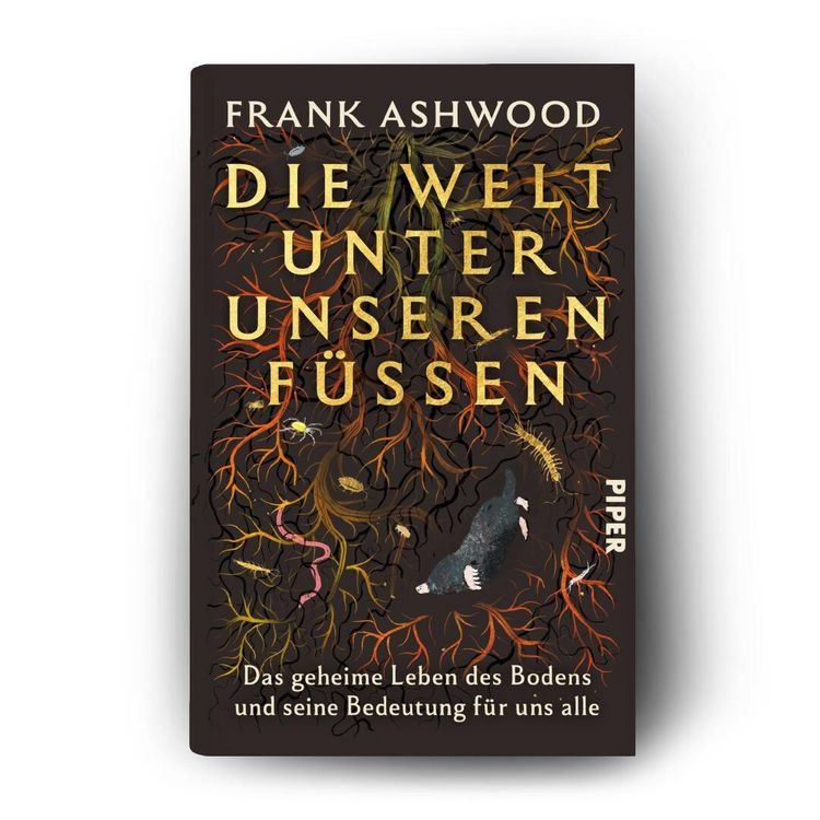 Produktbild: Die Welt unter unseren F&uuml;&szlig;en