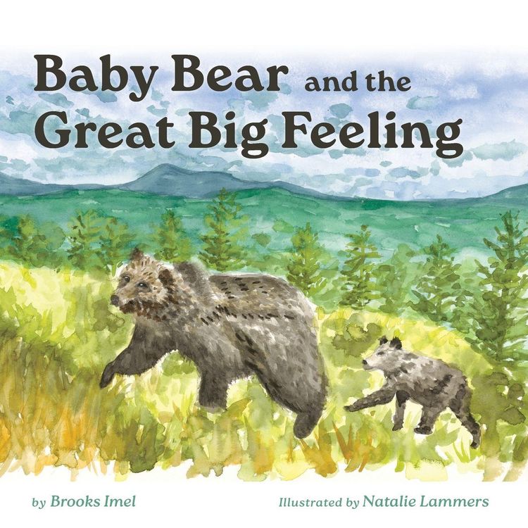 Produktbild: Baby Bear and the Great Big Feeling