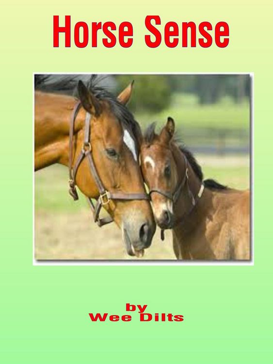 Produktbild: Horse Sense