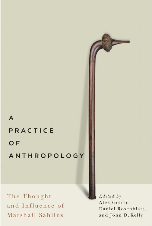 Produktbild: A Practice of Anthropology