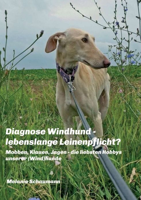 Produktbild: Diagnose Windhund - lebenslange Leinenpflicht?