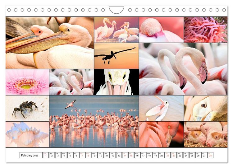 Produktbild: Colour Symphonies of the Earth (Wall Calendar 2026 DIN A4 landscape), CALVENDO 12 Month Wall Calendar