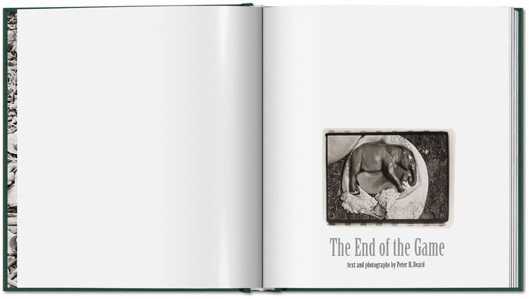 Produktbild: Peter Beard