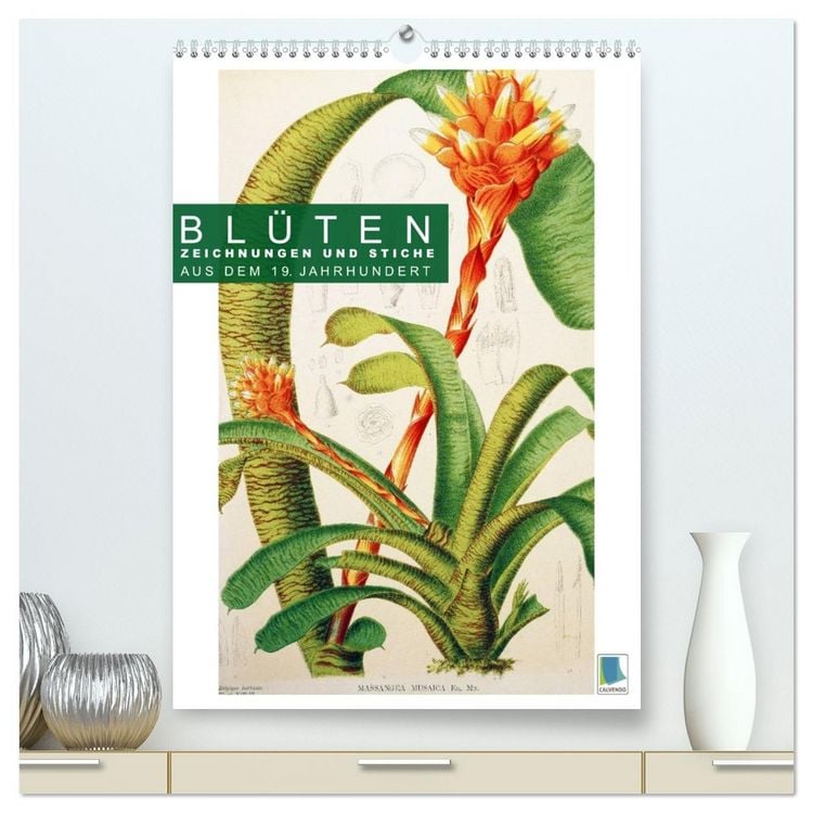 Produktbild: Bl&uuml;ten: Zeichnungen und Stiche aus dem 19. Jahrhundert (hochwertiger Premium Wandkalender 2026 DIN A2 hoch), Kunstdruck in Hochglanz