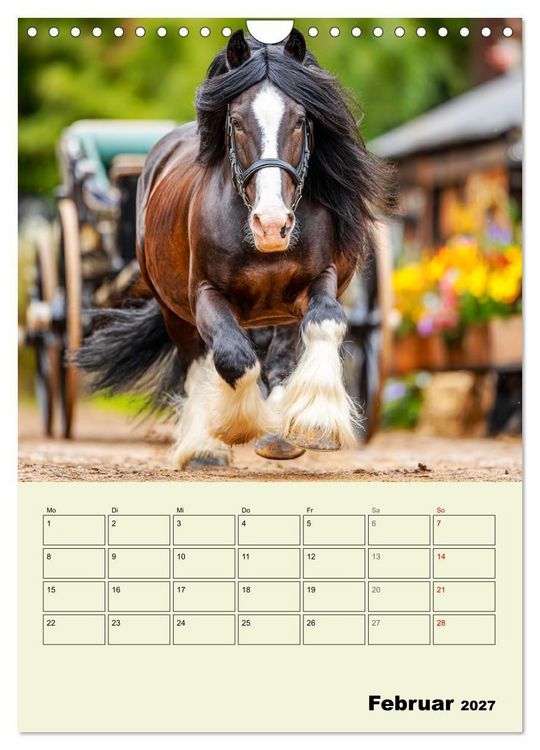 Produktbild: Shire Horse Magie. Englands sanfte Giganten (Wandkalender 2027 DIN A4 hoch), CALVENDO Monatskalender