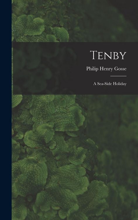 Produktbild: Tenby: A Sea-Side Holiday