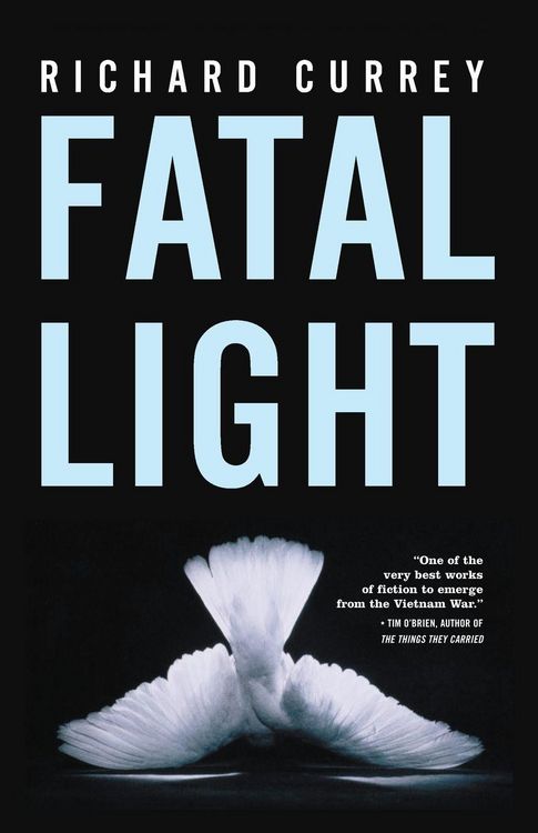 Produktbild: Fatal Light