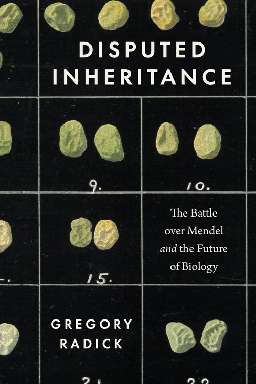 Produktbild: Disputed Inheritance