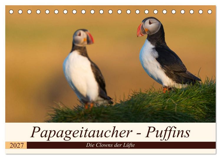 Produktbild: Papageitaucher - Puffins (Tischkalender 2027 DIN A5 quer), CALVENDO Monatskalender