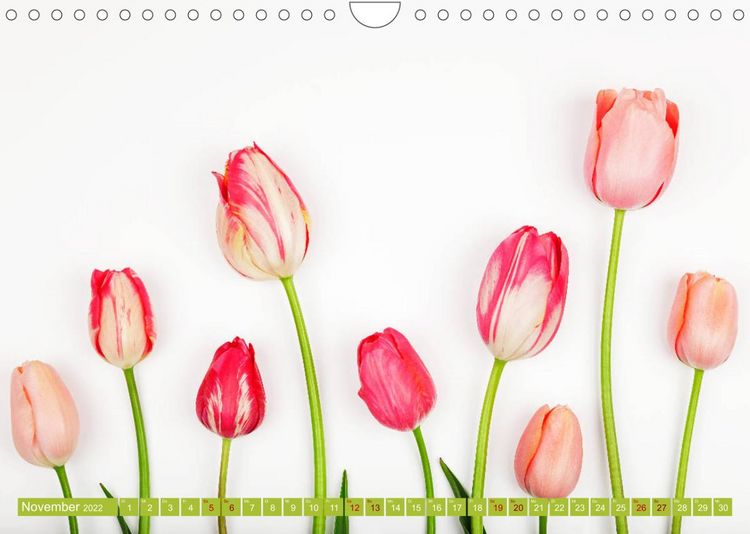 Produktbild: Tulpen f&uuml;r das ganze Jahr (Wandkalender 2022 DIN A4 quer)