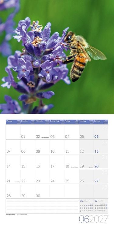 Produktbild: Gartenfreunde Kalender 2027 - 30x30 - Art12