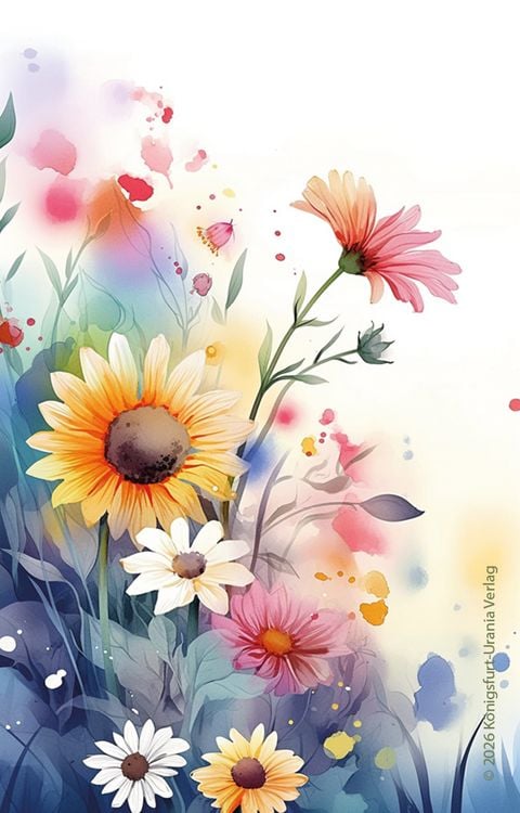 Produktbild: Summer Serenade Lenormand - 38 Lenormand-Karten und Booklet (DE)