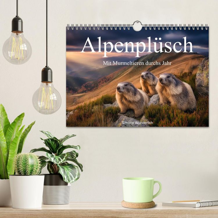 Produktbild: Alpenpl&uuml;sch - Mit Murmeltieren durchs Jahr (Wandkalender 2026 DIN A4 quer), CALVENDO Monatskalender