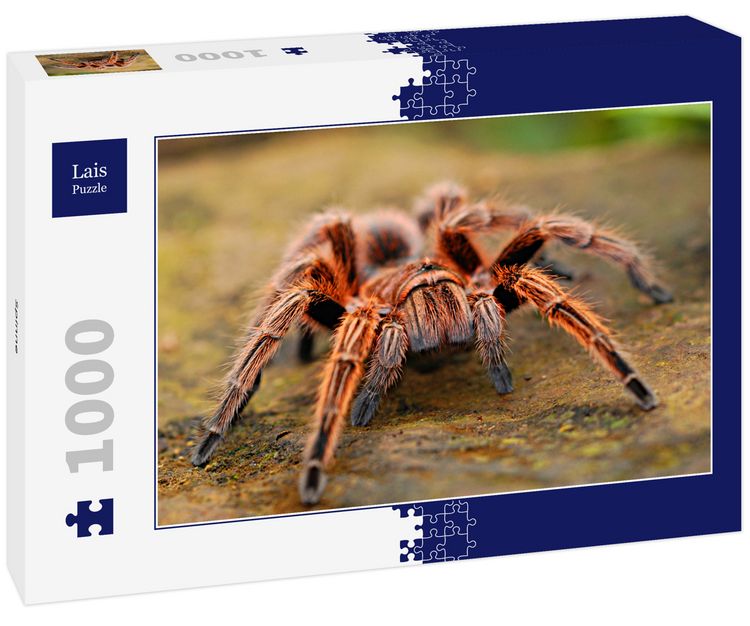 Produktbild: Lais Puzzle Spinne 1000 Teile