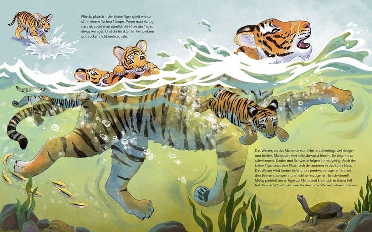 Produktbild: Der kleine Tiger - Zu Hause in Indien