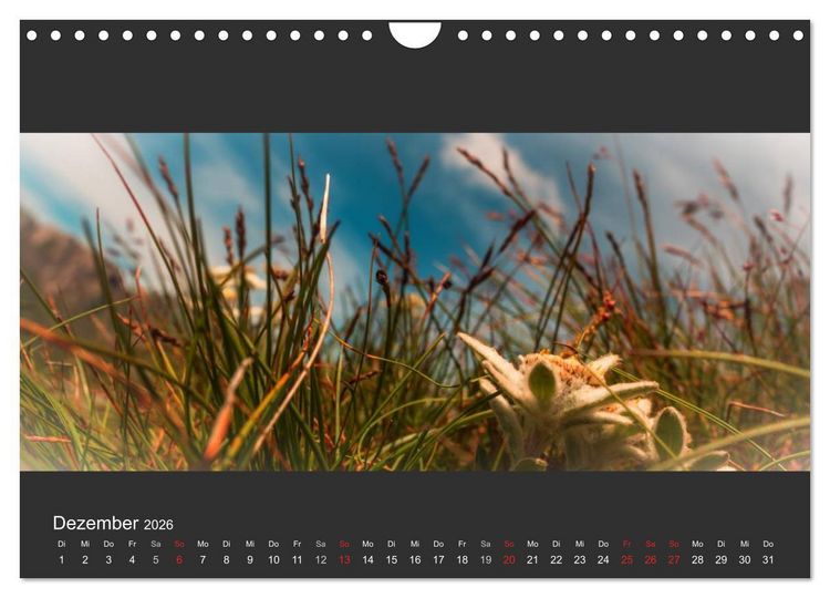 Produktbild: Alpenpanorama 2026 (Wandkalender 2026 DIN A4 quer), CALVENDO Monatskalender