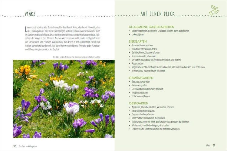Produktbild: Mein Jahr im Kleingarten. Schrebergarten f&uuml;r Anf&auml;nger
