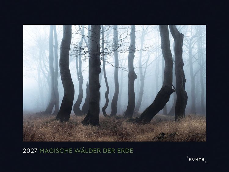 Produktbild: Magische W&auml;lder der Erde - KUNTH Wandkalender 2027