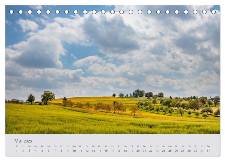 Produktbild: Augenblicke im Pf&auml;lzerwald (Tischkalender 2026 DIN A5 quer), CALVENDO Monatskalender