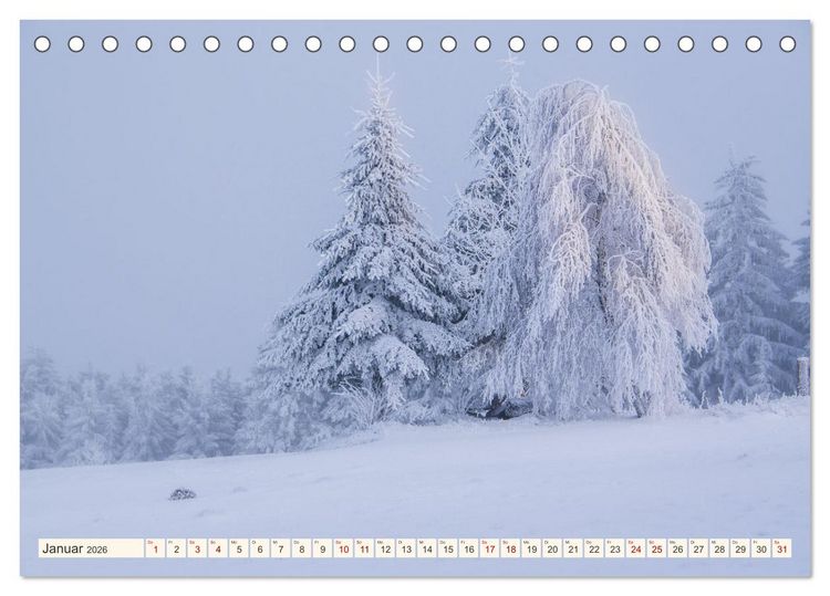 Produktbild: Im Zauber der W&auml;lder (Tischkalender 2026 DIN A5 quer), CALVENDO Monatskalender