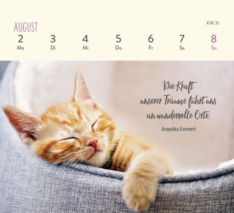 Produktbild: Mini-Wochenkalender 2027: F&uuml;r Katzenfreunde