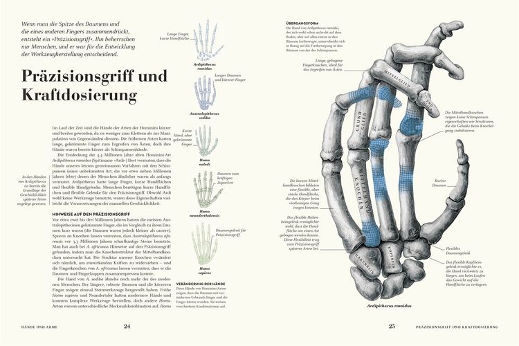 Produktbild: HUMANS. Der Mensch