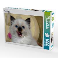 Produktbild: CALVENDO Puzzle Ragdoll Mix 1000 Teile Lege-Gr&ouml;&szlig;e 64 x 48 cm Foto-Puzzle Bild von Jennifer Chrystal