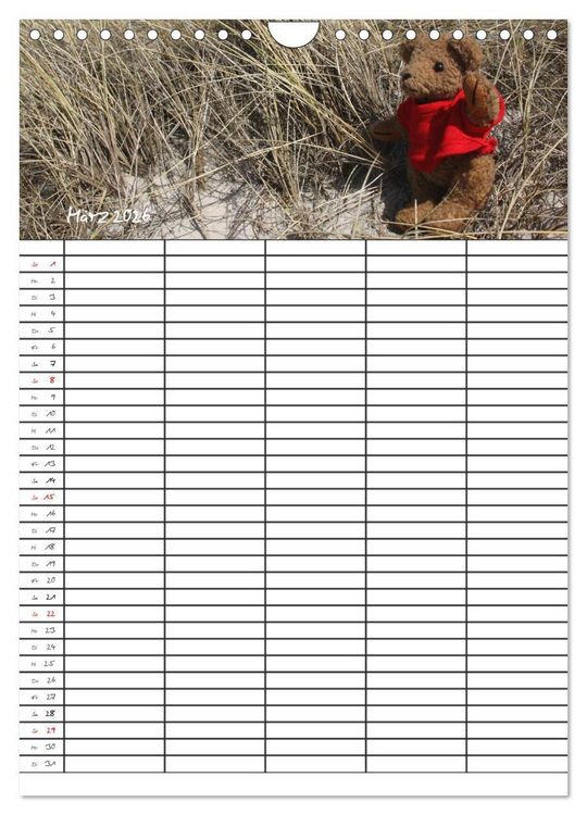 Produktbild: Der Teddyb&auml;ren-Familienplaner (Wandkalender 2026 DIN A4 hoch), CALVENDO Monatskalender