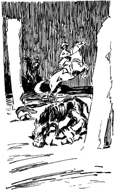 Produktbild: Sherlock Holmes und der Hund von Baskerville