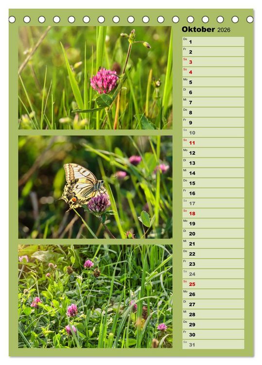 Produktbild: Farbenzauber, bunte Wiesen und bunte Falter (Tischkalender 2026 DIN A5 hoch), CALVENDO Monatskalender