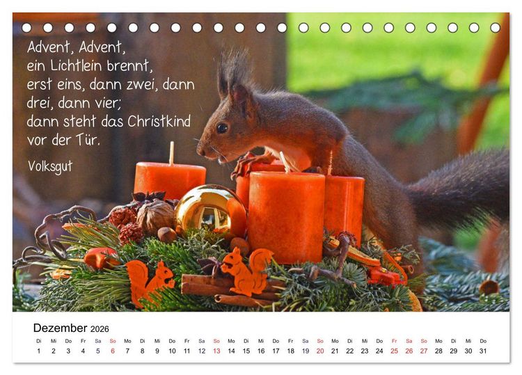 Produktbild: Der literarische Eichh&ouml;rnchen-Kalender (Tischkalender 2026 DIN A5 quer), CALVENDO Monatskalender
