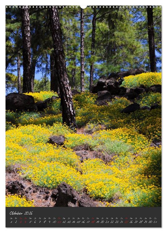 Produktbild: TENERIFFA (Wandkalender 2026 DIN A2 hoch), CALVENDO Monatskalender