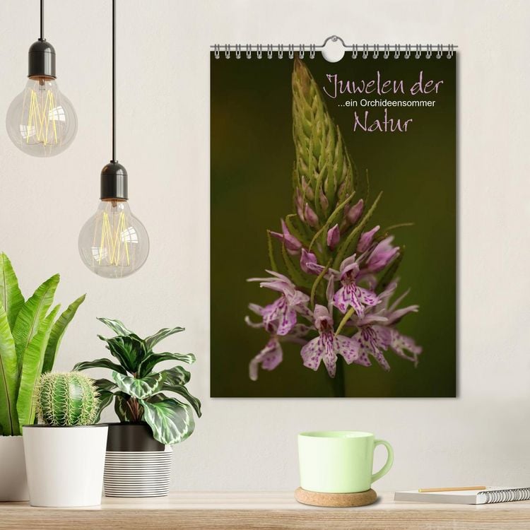 Produktbild: Juwelen der Natur - Ein Orchideensommer (Wandkalender 2026 DIN A4 hoch), CALVENDO Monatskalender