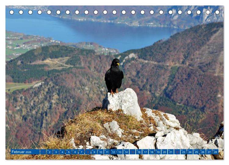 Produktbild: Der Berg und sein See (Tischkalender 2026 DIN A5 quer), CALVENDO Monatskalender