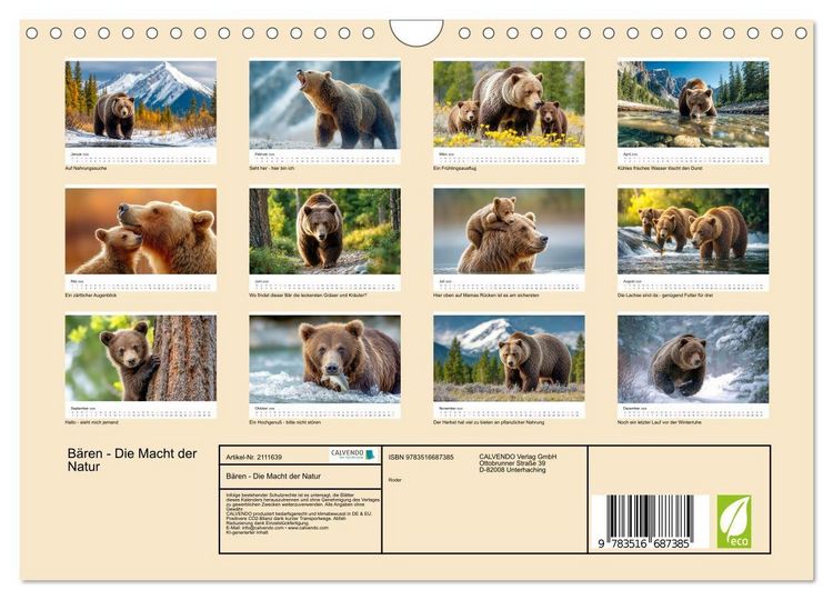 Produktbild: B&auml;ren - Die Macht der Natur (Wandkalender 2026 DIN A4 quer), CALVENDO Monatskalender