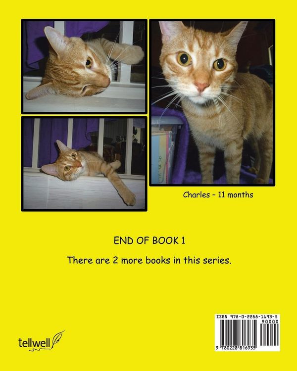 Produktbild: The Adventures of Charles The Cat With The Question Mark Tail