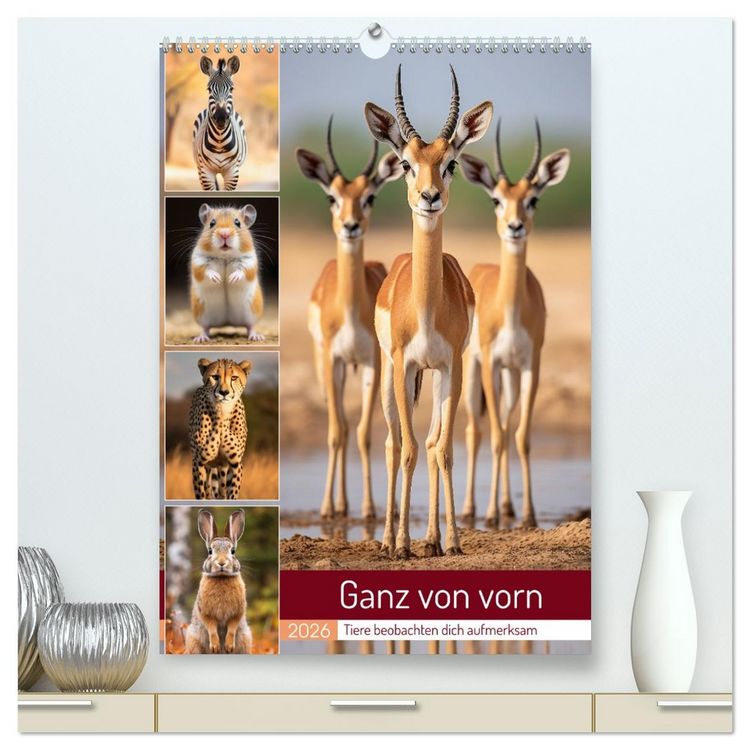 Produktbild: Ganz von vorn (hochwertiger Premium Wandkalender 2026 DIN A2 hoch), Kunstdruck in Hochglanz