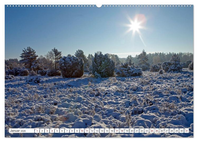 Produktbild: Die L&uuml;neburger Heide - Ausflugsziel im Norden (hochwertiger Premium Wandkalender 2026 DIN A2 quer), Kunstdruck in Hochglanz
