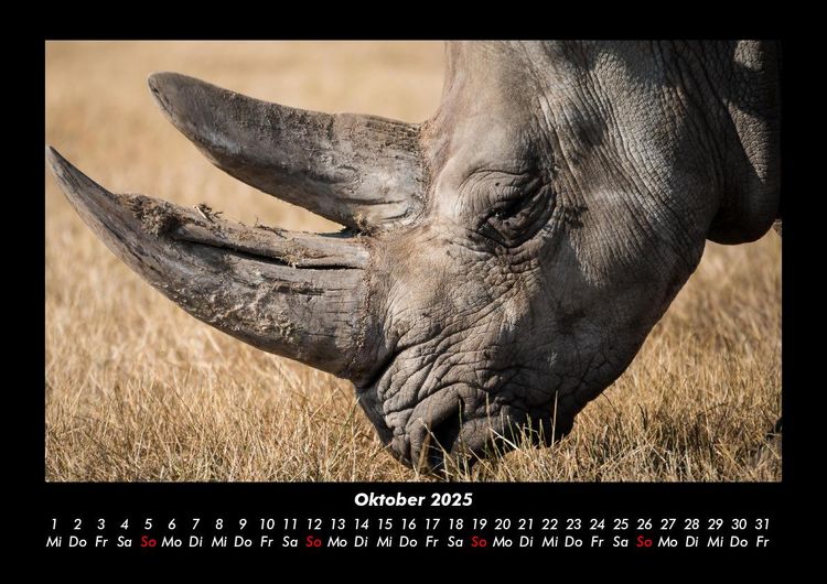 Produktbild: Tiere im Zoo 2025 Fotokalender DIN A3
