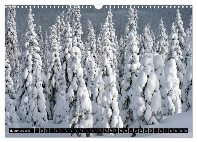 Produktbild: GASP&Eacute;SIE. Parc National du Qu&eacute;bec (Calendrier mural 2026 DIN A3 vertical), CALVENDO calendrier mensuel