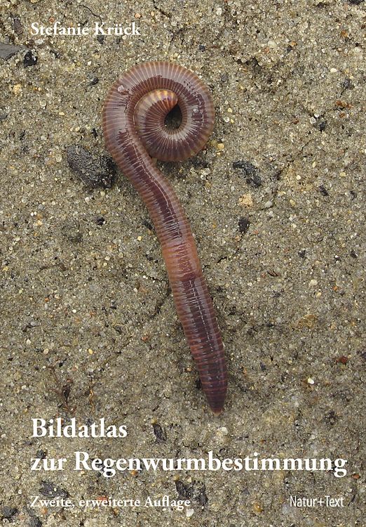 Produktbild: Bildatlas der Regenwurmbestimmung