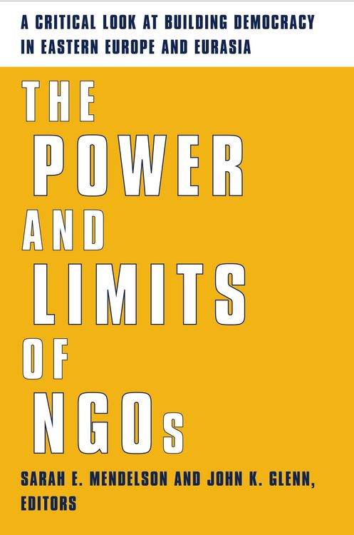Produktbild: The Power and Limits of NGOs
