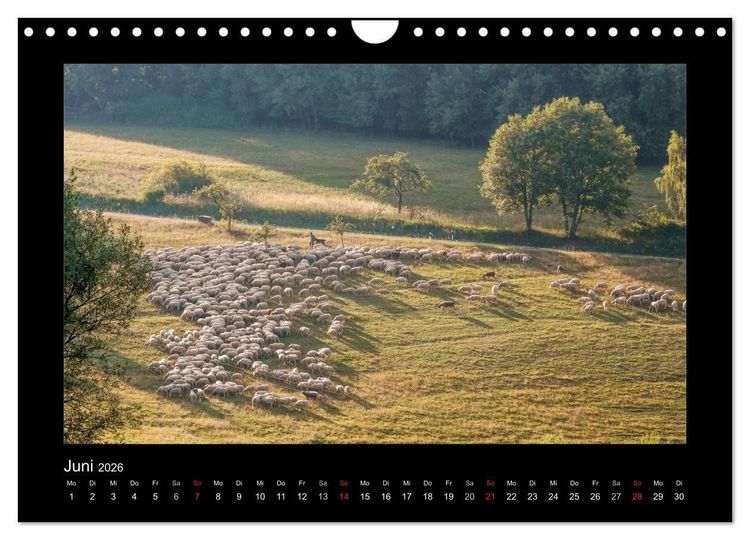 Produktbild: Taunus (Wandkalender 2026 DIN A4 quer), CALVENDO Monatskalender